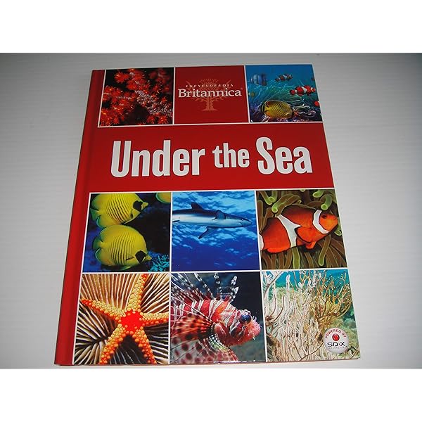 National Geographic Science G1 絵本36冊 National Geographic Science G1 絵本36冊 本