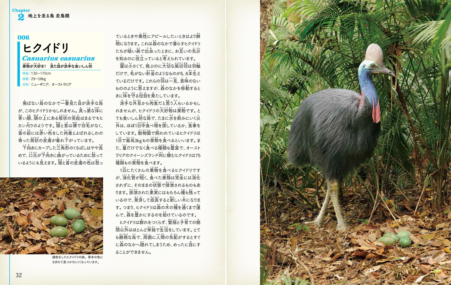 空を飛ばない鳥たち 泳ぐペンギン 走るダチョウ 翼のかわりになにが進化したのか 子供の科学 サイエンスブックス 恵介 上田 本 通販 Amazon