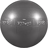 GoFit Professional Grade Core Stability Ball