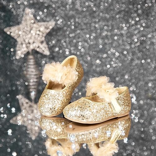 Felix Flora Toddler Little Girl Ballet Shoes Gold Size Flower