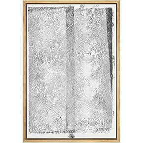 SIGNWIN Framed Canvas Print Wall Art Black and...