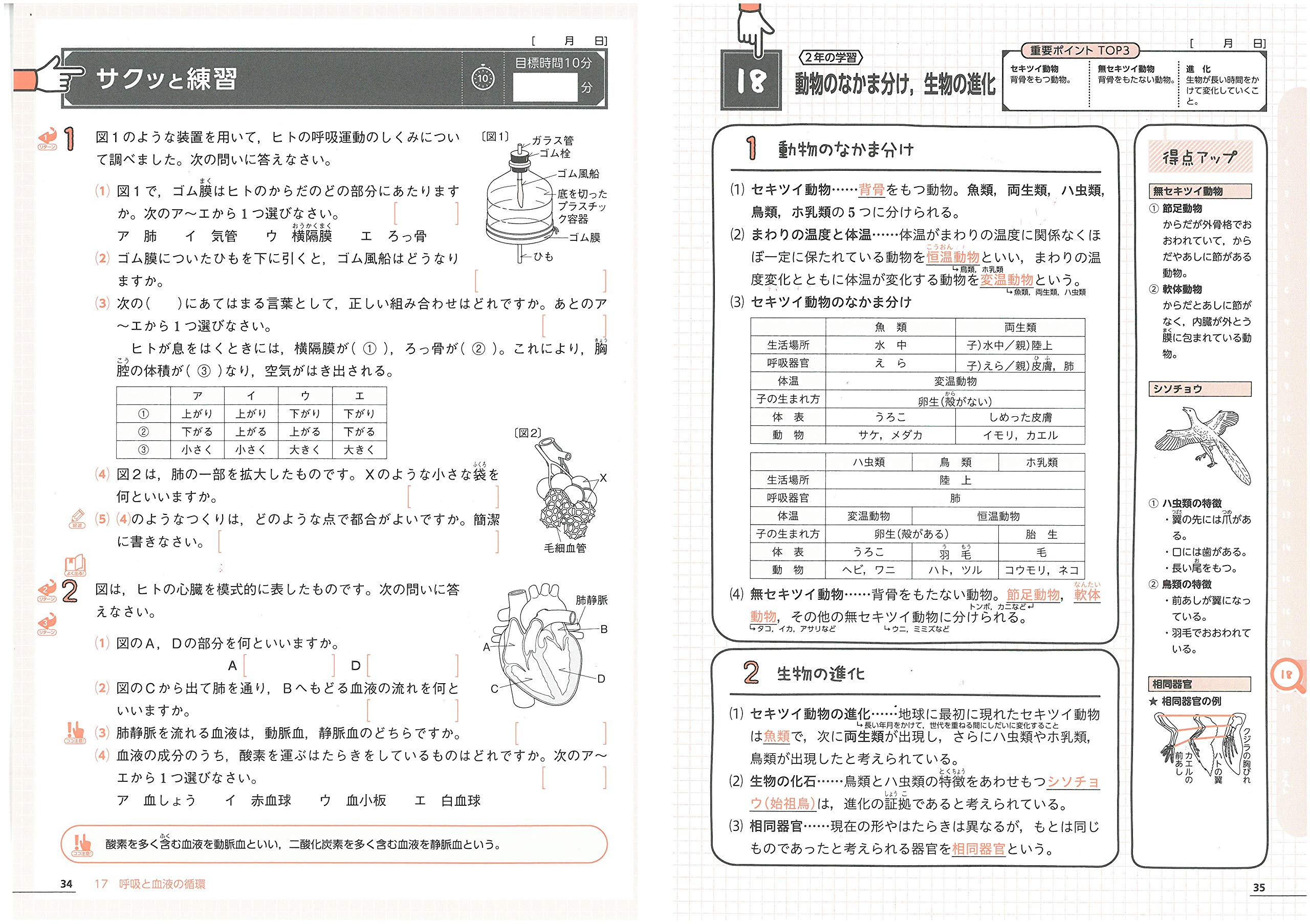中1 2 10分間で総復習 理科 サクッ と Amazon Com Books