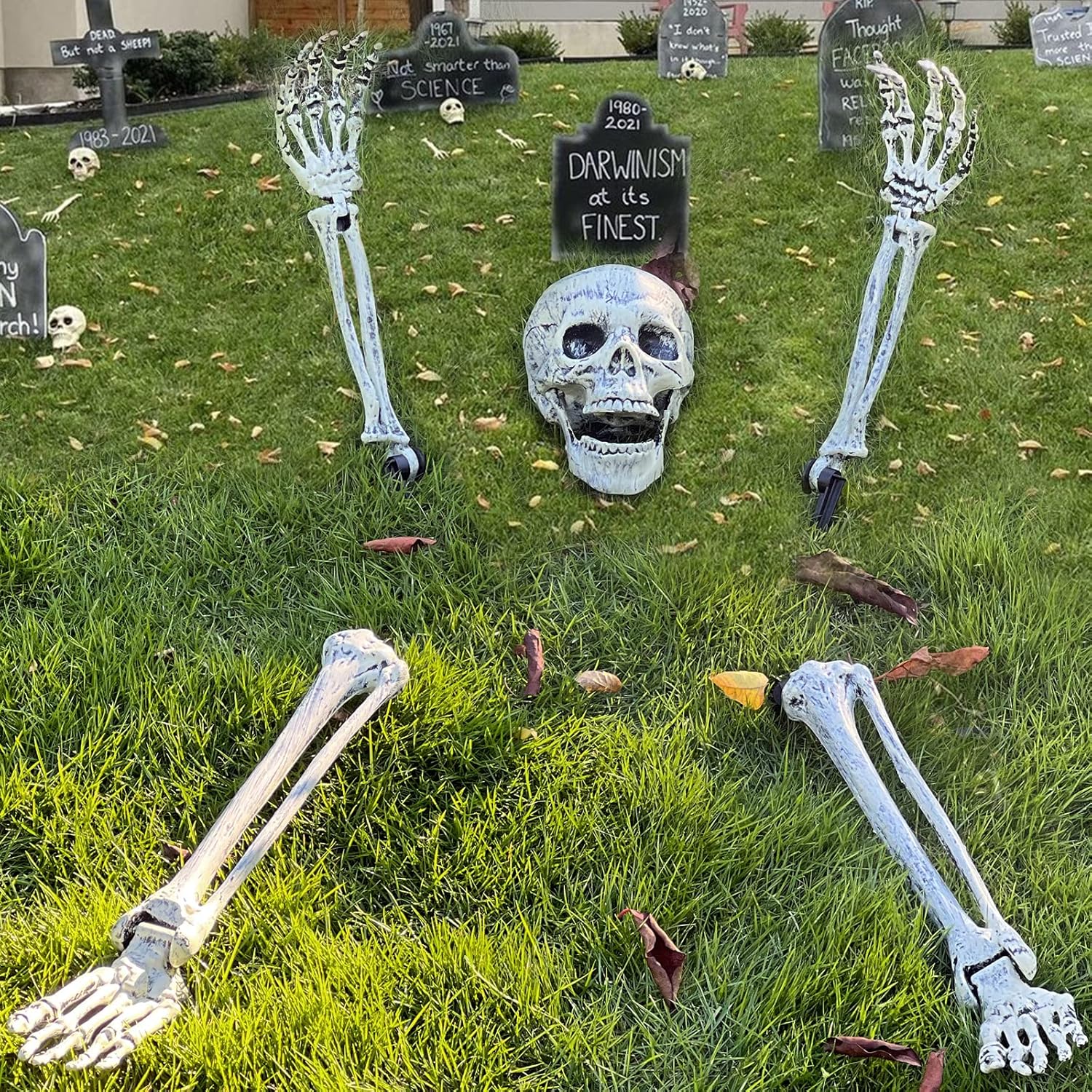 Decorative Garden Stakes - EddHomes Halloween Skeleton Stakes Decorations, Realistic Skeleton Halloween Decor, New De‘Sign Halloween Skeleton Head and Arms with a Stake for Halloween Yard Scary Skeleton Decor (5pcs)