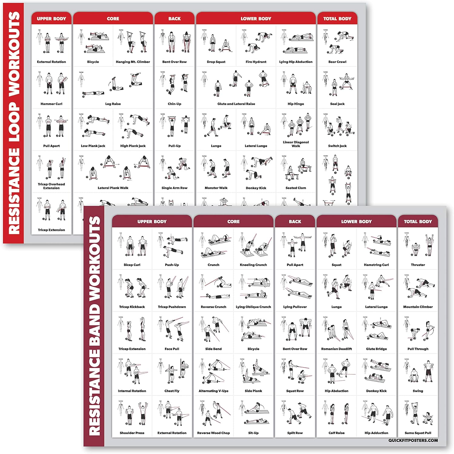 QuickFit 2 Pack - Resistance Bands and Resistance Loops Workout Posters - Set of 2 Laminated Charts - Resistance Band Tubes and Loops Exercise Charts (Laminated, 18" x 27") : Sports & Outdoors