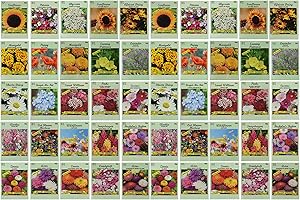 BLACK DUCK BRAND Set of 50 Flower Seed Packets! Flower Seeds in Bulk, 15 or More Varieties Available!