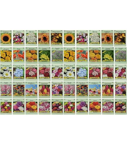 Amazon.com : Flower Seed Set - Flower Varieties of Non-GMO & Heirloom  Premium Seeds for Planting - Sunflower, Marigold, Lavender, and More! (25,  Set 1) : Patio, Lawn & Garden