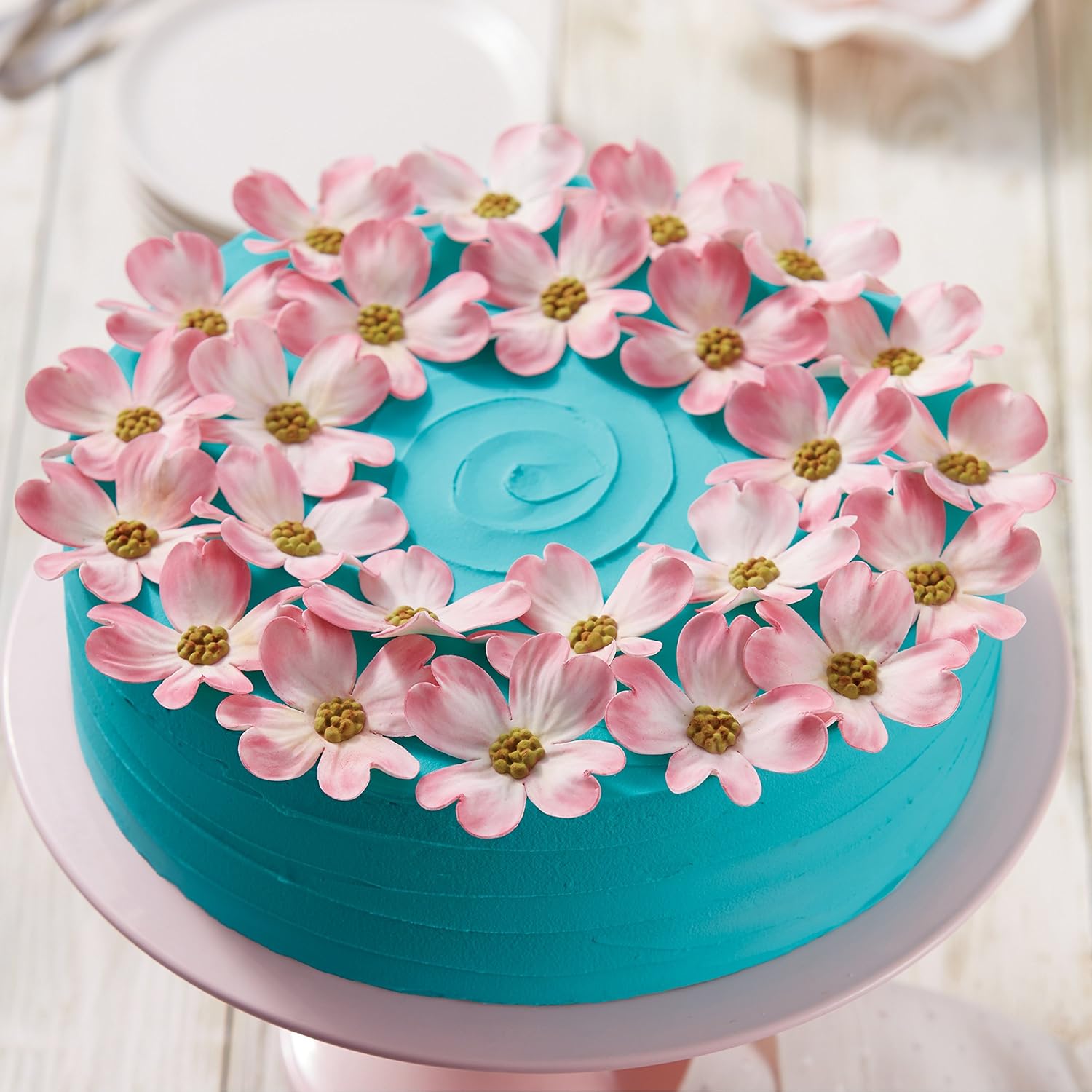 فقرة يتظاهر فريد Moule Gateau Camion Amazon Thaiwheelchairsfordogs Com