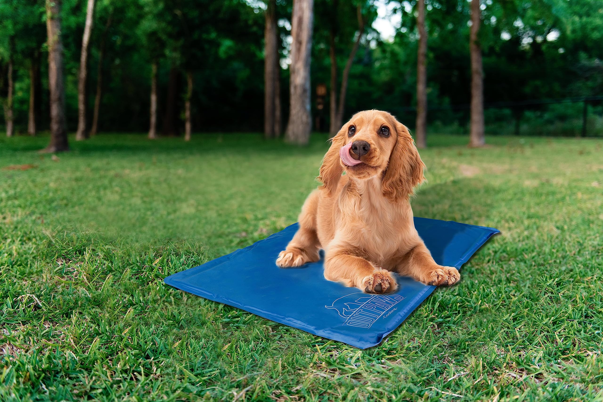 Pet Brands Summer Cooling Non -Toxic Gel Cool Mat Large 90x60x3cm