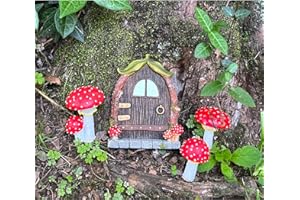 Cliocoo Fairy Door and Mushrooms for Trees, Glow in The Dark Gnome Home Door, Garden Tree Decor Kit with Adorable Mushrooms (Fairy Door with Mushrooms)