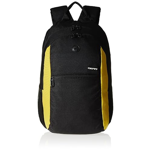 Branded Bagpack 80% off