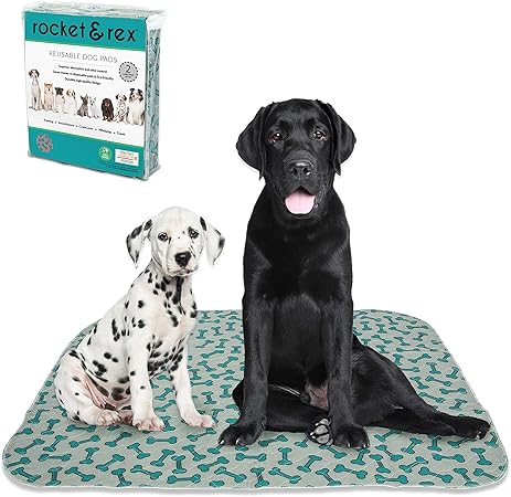 dog pee pads amazon