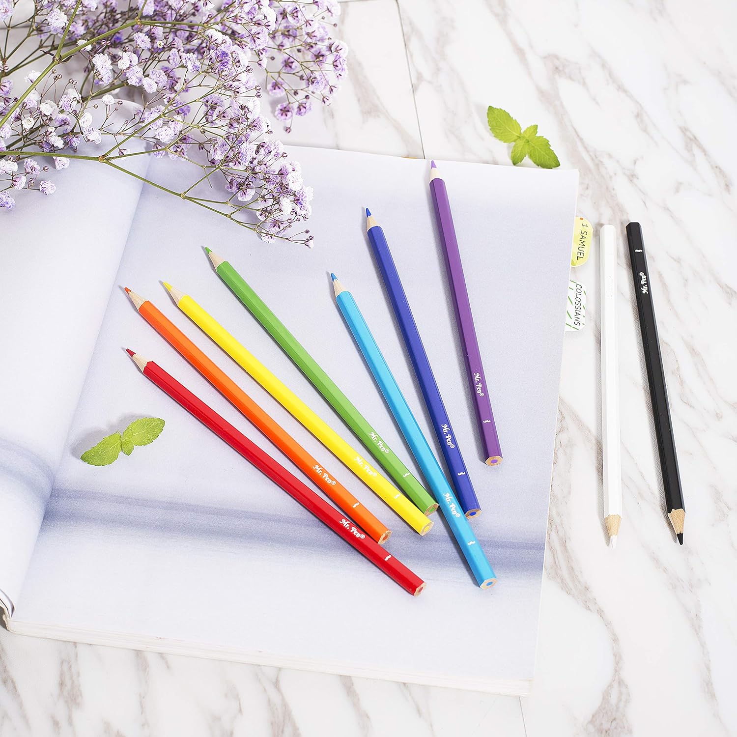 Mr. Pen- Colored Pencils, 36 Pack, Color Pencil Set, Color Pencils, Map Pencils, Colored Pencils for Adults, Colored Pencils for Kids, Colored Pencils for Adult Coloring, Coloring Pencils for Adults : Office Products
