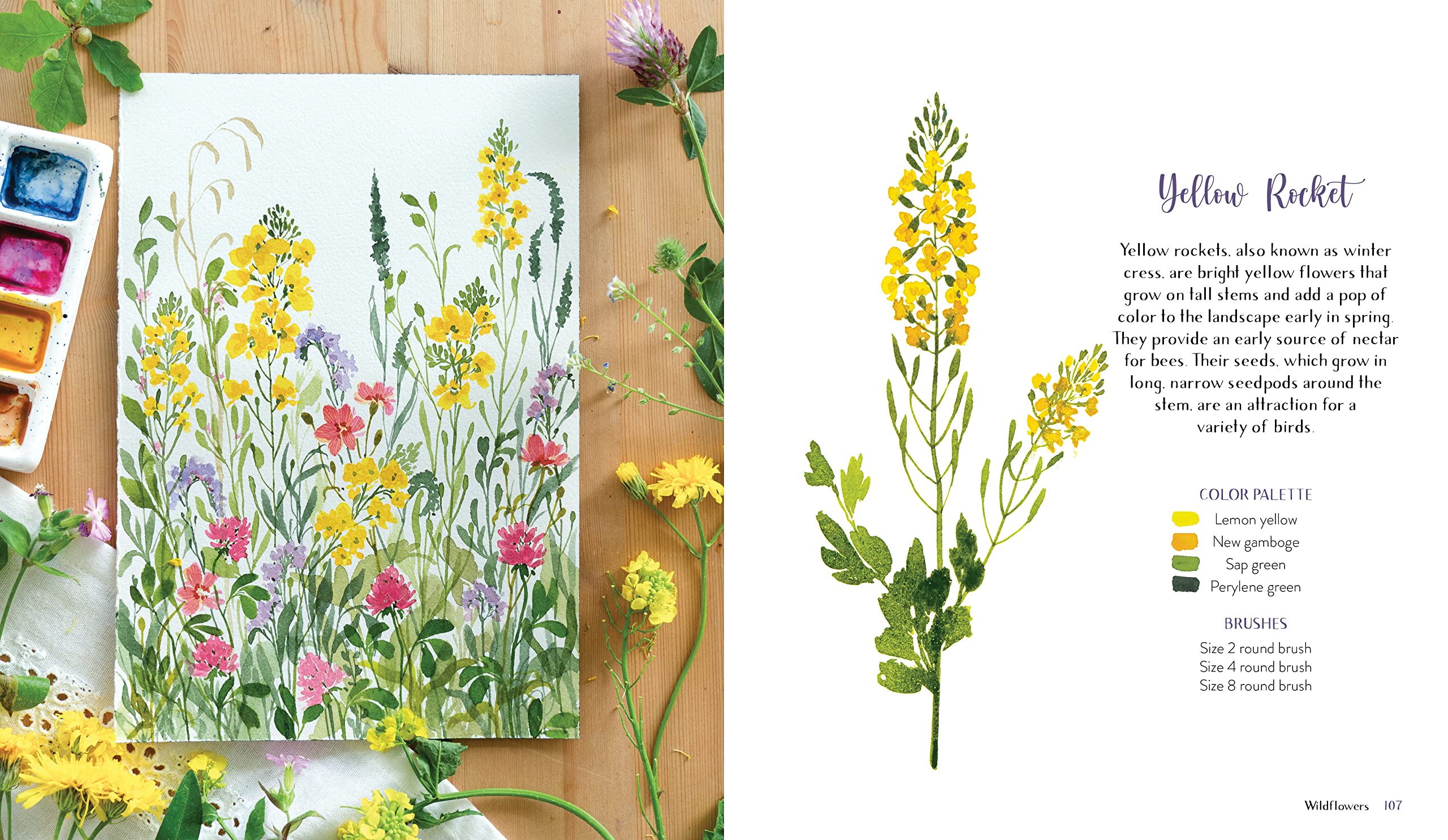 Wildflower Watercolor: The Beginner’s Guide to Painting Beautiful Florals Wildflower Watercolor: The Beginner’s Guide to Painting Beautiful Florals Paperback Kindle Spiral-bound
