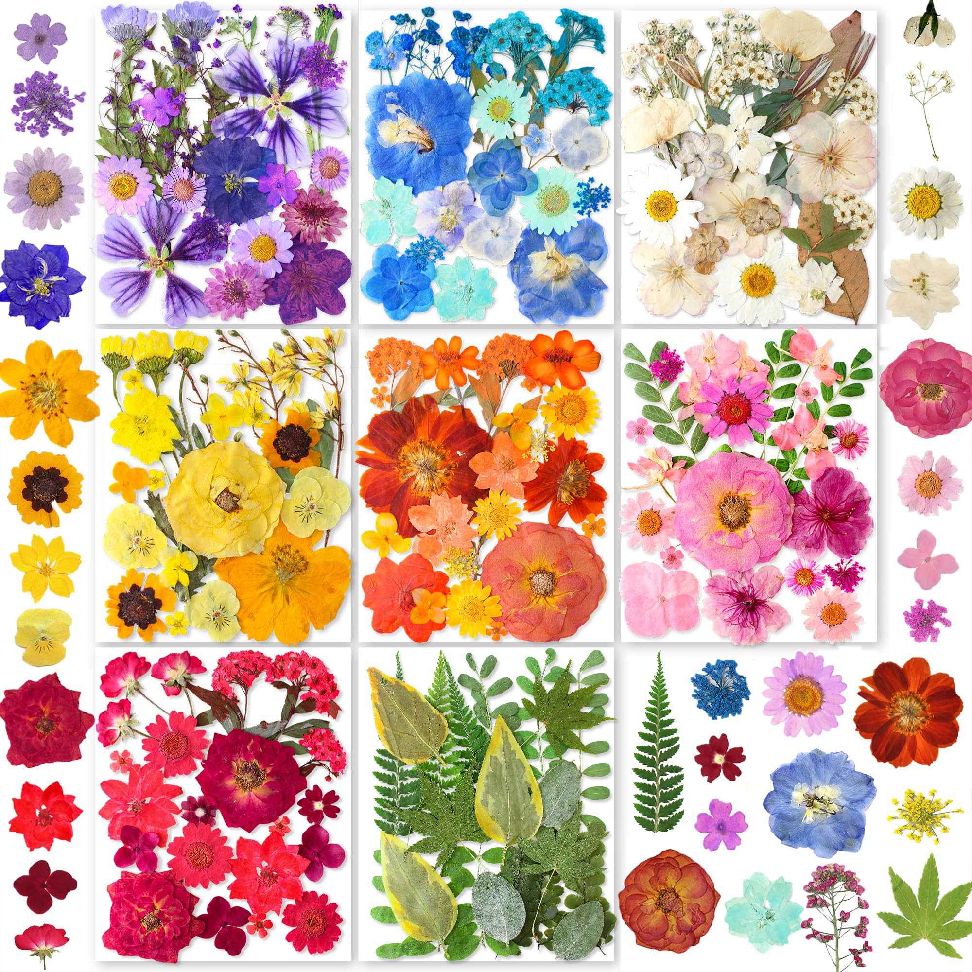 269PCS Dried Pressed Flowers for Resin Craft - YoothBro Real Nature Flowers Set with Butterfly Stickers for DIY Jewelry Nail Scrapbook Art Floral Decors Iridescent