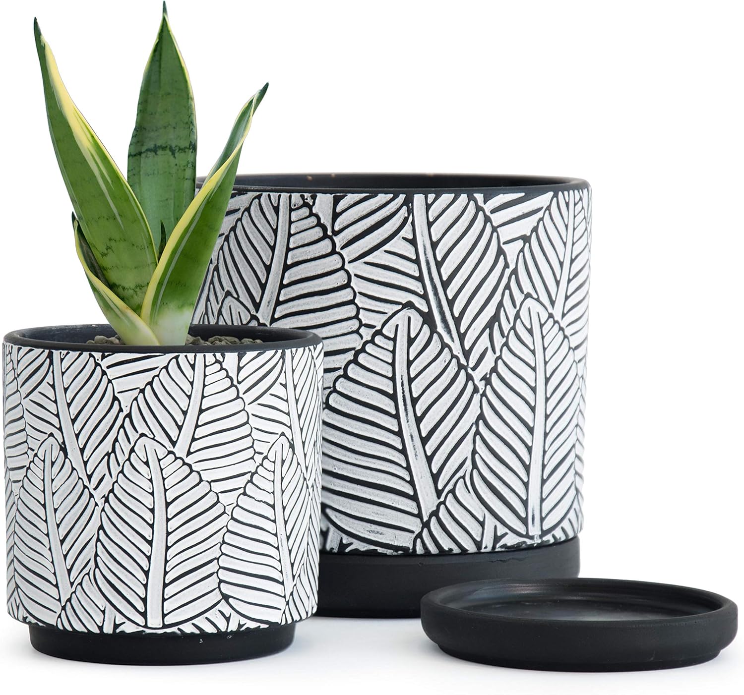 Set of 2, Broadleaf Pattern Planter Pot, 4.5 Inch and 6.4 Inch, Pot with Drainage Hole and Saucer, Black/White, 31-958-H-2 : Kitchen & Dining