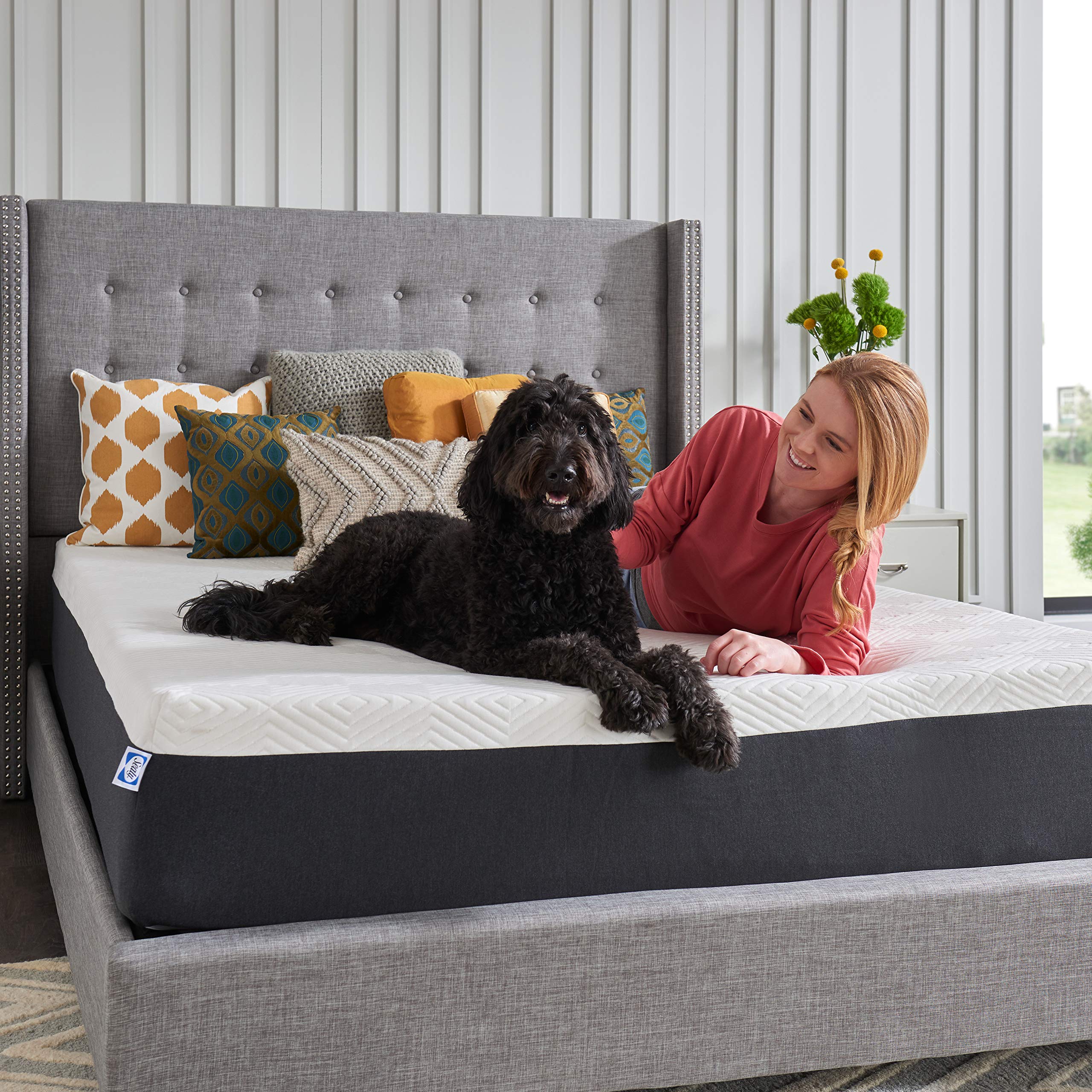 Sealy Memory Foam Bed in a Box 12 Inch, Medium Feel, King Size