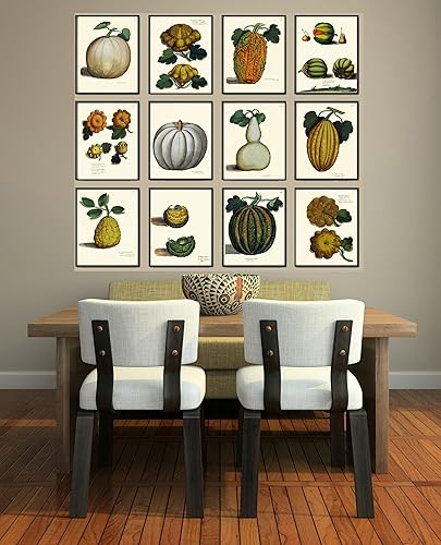Botanical Set Antique Beautiful Pumpkin Squash