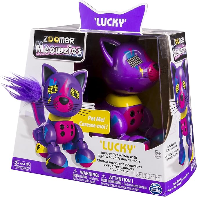 zoomer playful kitty