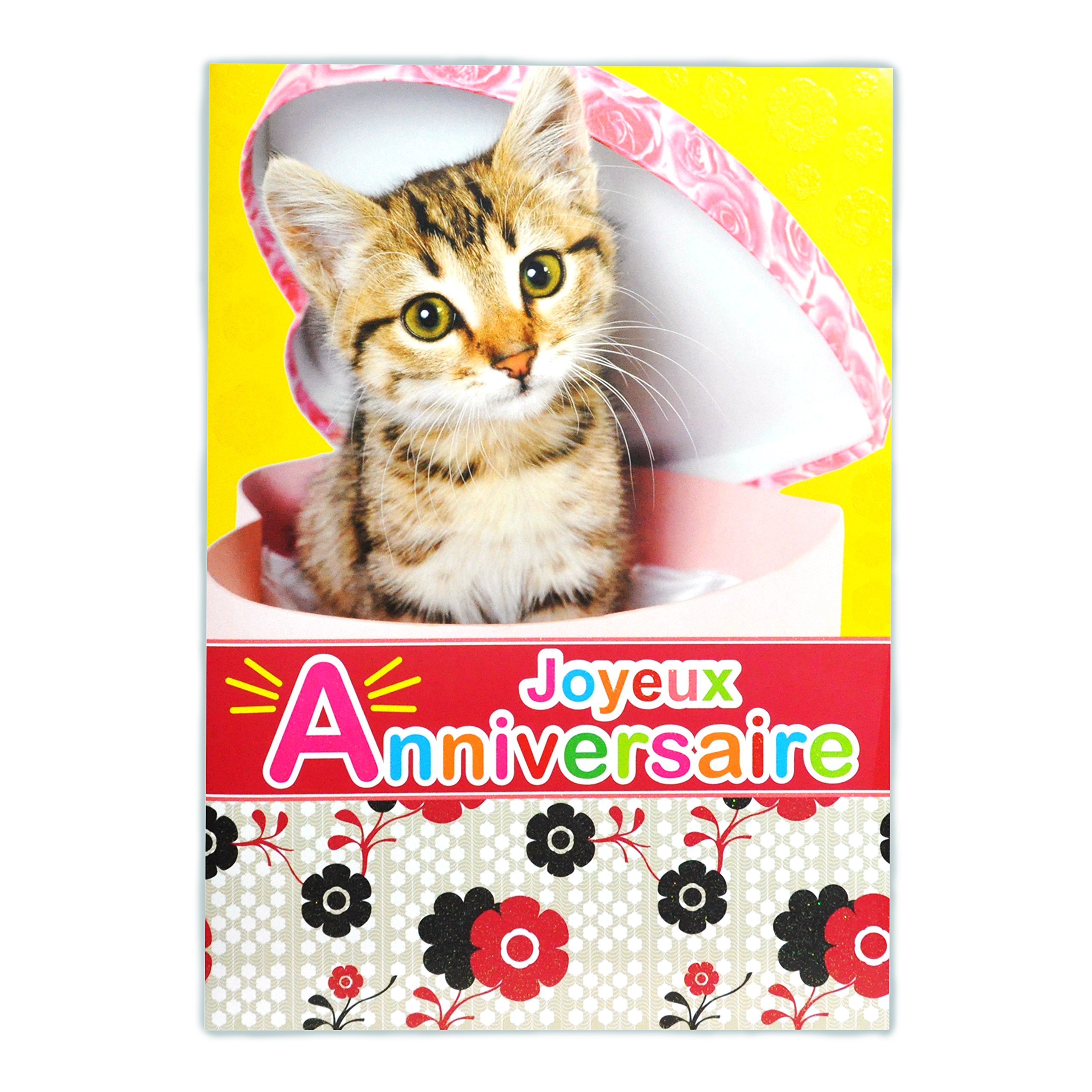 Afie mx-3010 Large Maxi A4 Happy Birthday Card – Cute Cat Kitten Feline Pet