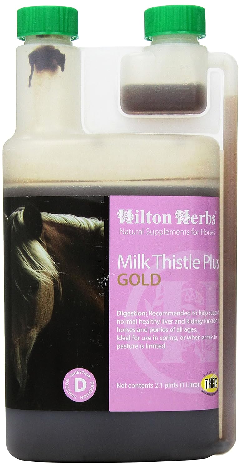 Hilton Herbs Milk Thistle Plus Gold Liquid Herbal Supplement for Horses