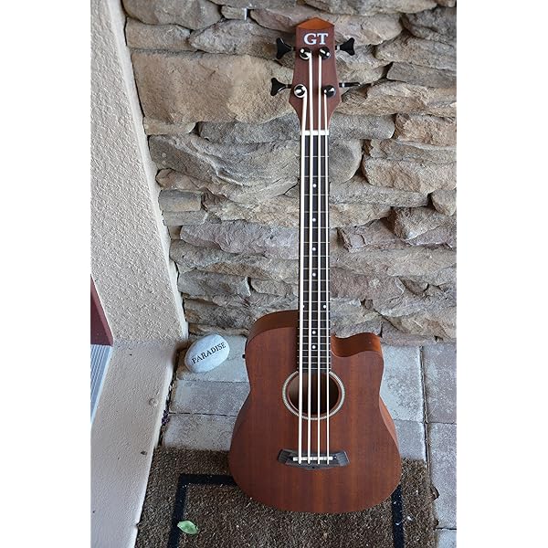 gold tone 4 string bass guitar