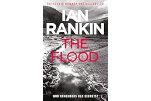 The Flood: From the iconic #1 bestselling author of A SONG FOR THE DARK TIMES