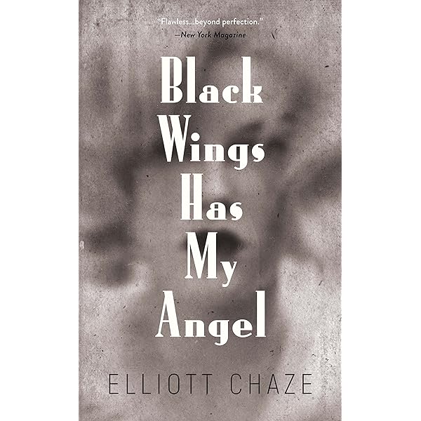 文学・小説 Elliott Chaze / Black Wings Has My Angel University of Southern Mississippi