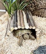 Komodo Flexi Stix Fully Bendable Terrarium Decor Medium view 5