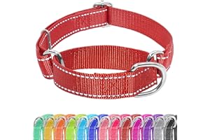 Seyezo Martingale Dog Collar, Slip Martingale Collar for Dogs with No Buckle, Reflective Pet Trainning Collar for Small Medium Large Dog, Adjustable Heavy Duty Nylon No Pull Slip Collar, S, Red