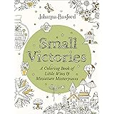 Small Victories: A Coloring Book of Little Wins and Miniature Masterpieces