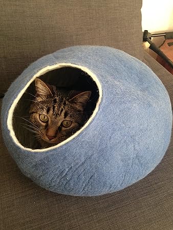 kivikis cat cave