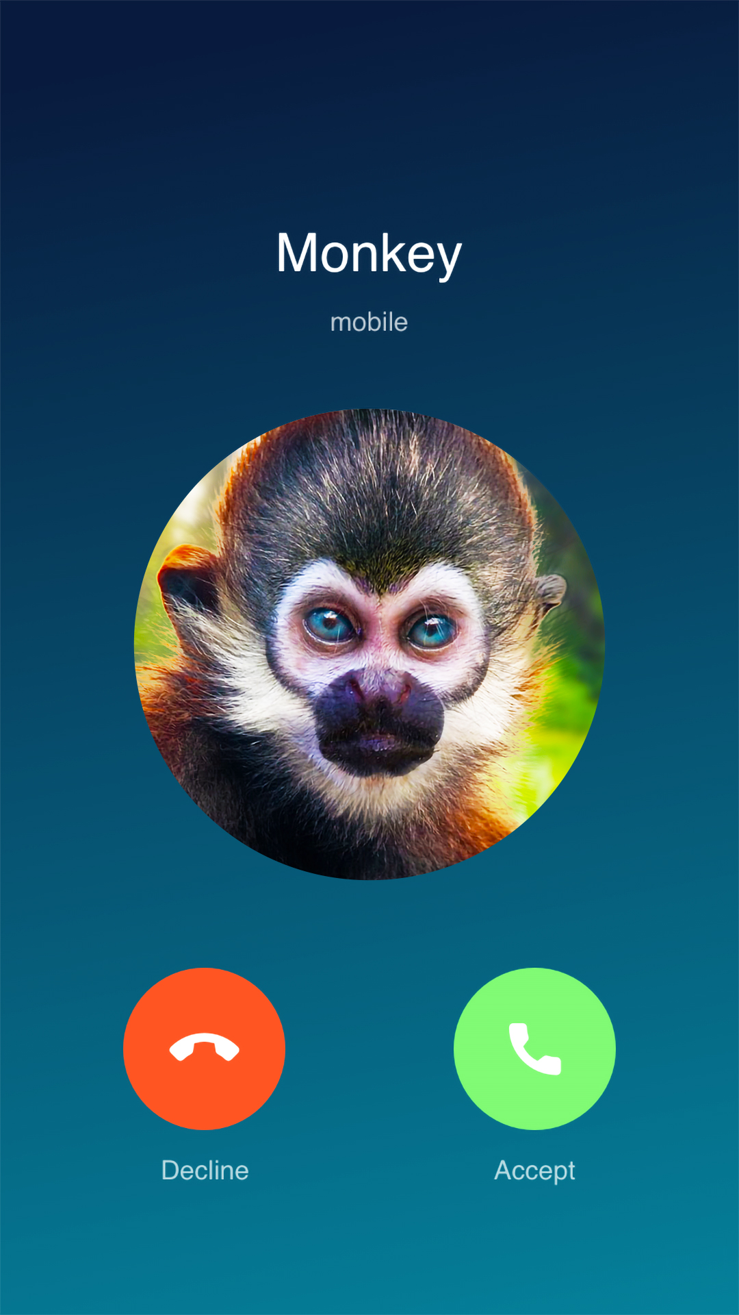 Amazon Com Monkey Call Apps Games