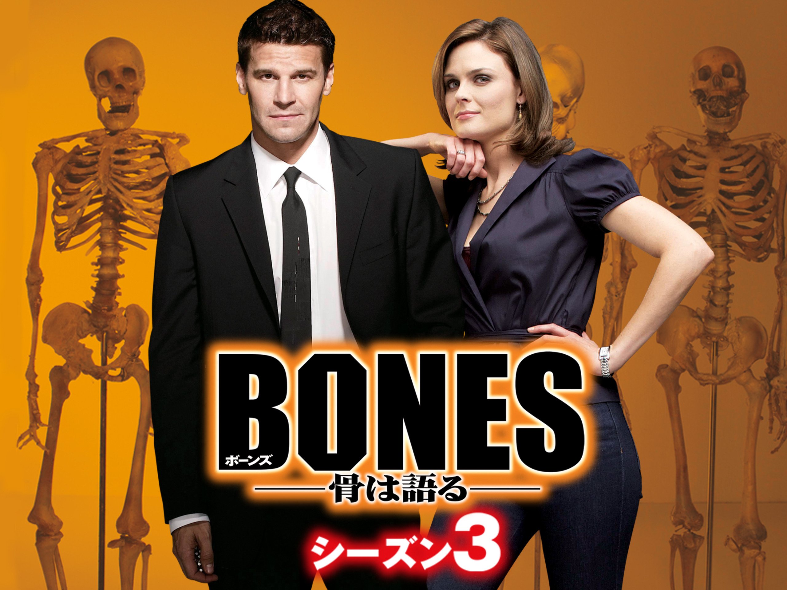 Amazon Co Jp Bones 骨は語る シーズン9 字幕版 を観る Prime Video Amazon Co Jp Bones 骨は語る シーズン9 字幕版 を観る Prime Video