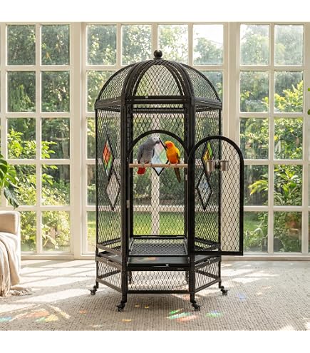 Amazon.com : Lani Kai Lodge Playtop Large Bird Cage with Stand