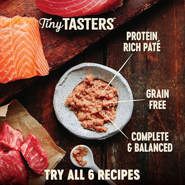 WELLNESS CORE TINY TASTERS PATE ADULT WET CAT FOOD, NATURAL, PROTEIN-RICH, GRAIN FREE, 1.75-OUNCE POUCH, 12 PACK, (DUCK)