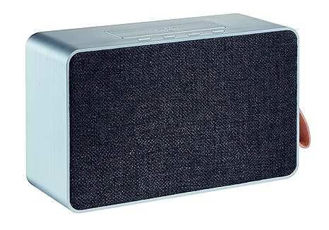 GRUNDIG GSB 750 25 W Silber – Tragbare Lautsprecher (25 W, verkabelt u. Kabellos, Bluetooth/3.5 mm, A2DP, 10 m, Silber)