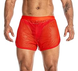 FIROTTII Mens Mesh Shorts Sexy Boxers See Through