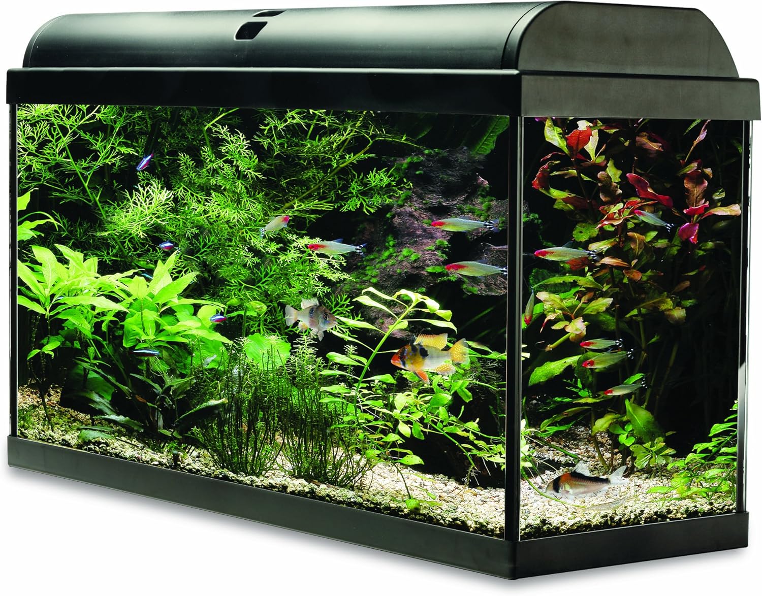 Interpet Aquaverse Glass Aquarium Fish Tank 160 L Amazon.co.uk Pet