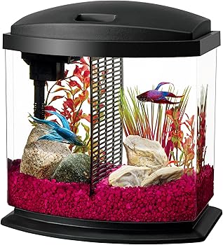 Aqueon Minibow 2.5-Gallon Aquarium