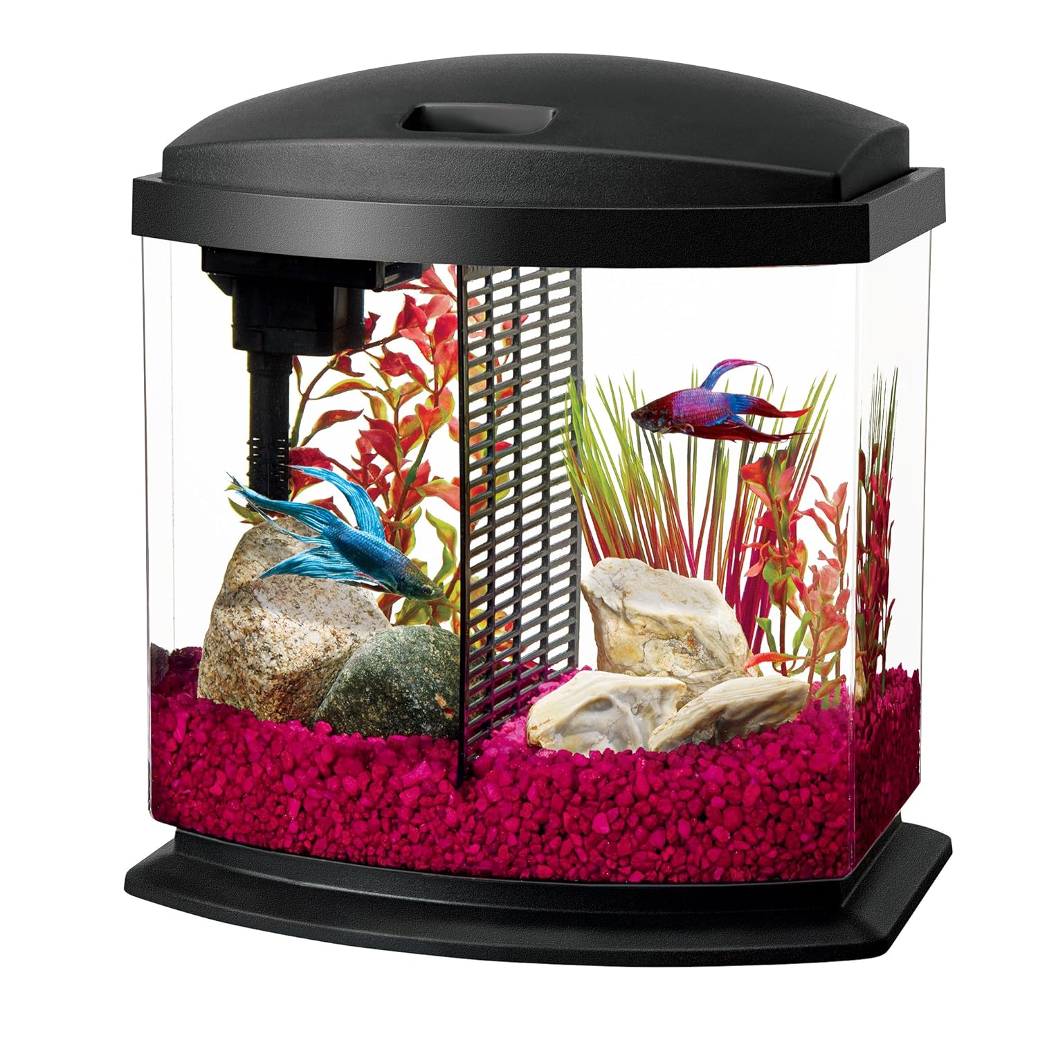 Aqueon LED Bettabow Aquarium Starter Kits with LED Lighting, 2.5 Gallon Betta, Black