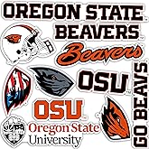 Desert Cactus Oregon State University Sticker OSU Beavers Vinyl Decals Laptop Water Bottle Car Scrapbook Sheet T2 (Type 2)
