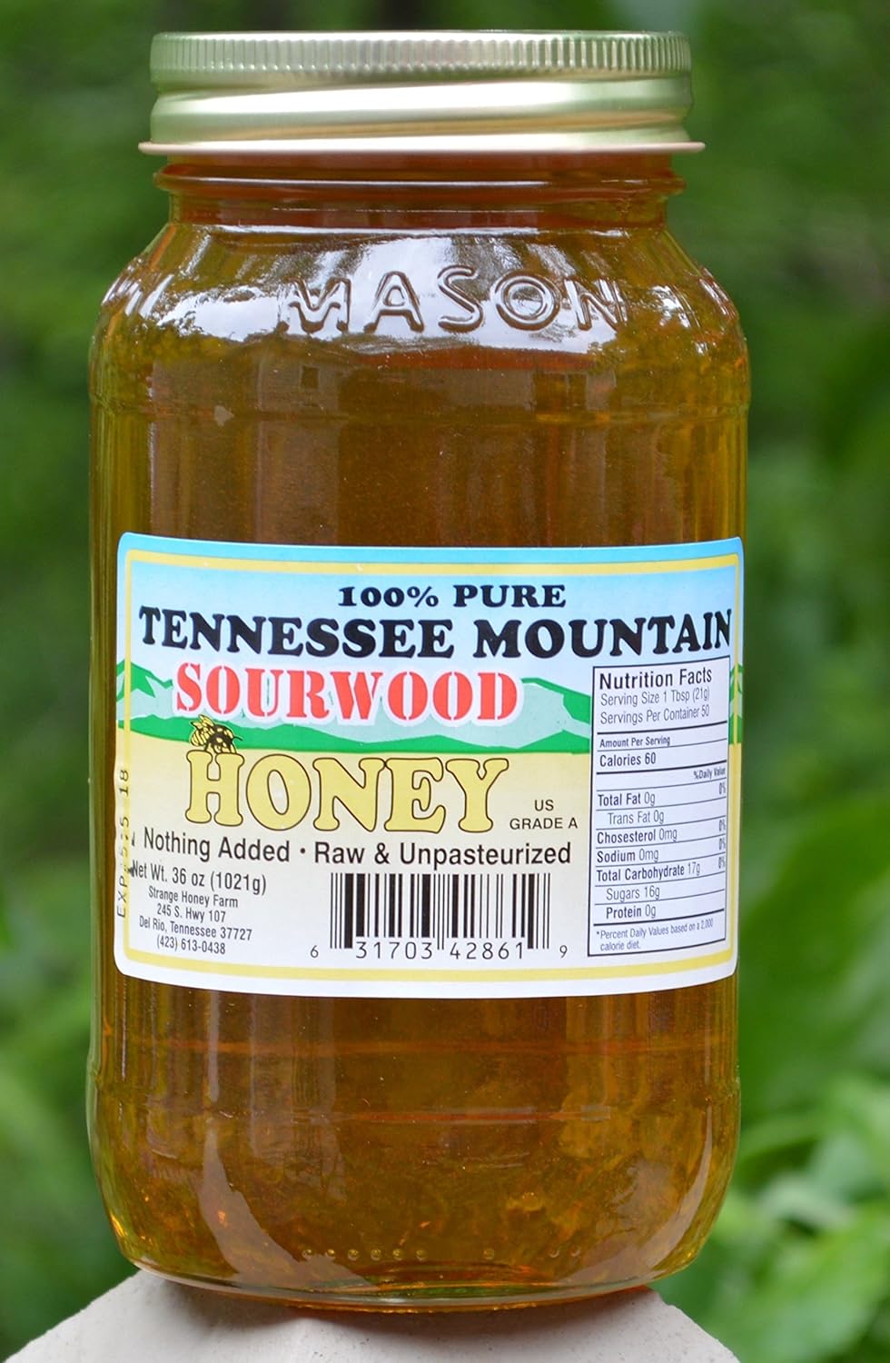 Sourwood Honey 36 0z (2 lb 4 Oz) All Natural Tennessee