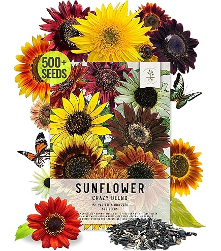 Amazon.com : Seed Needs Sunflower Seeds for Planting The Original