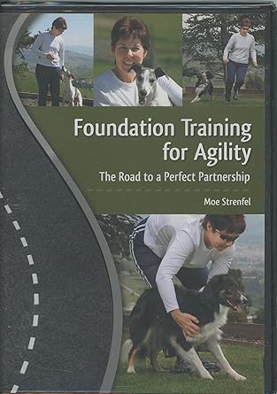 agility foundation training