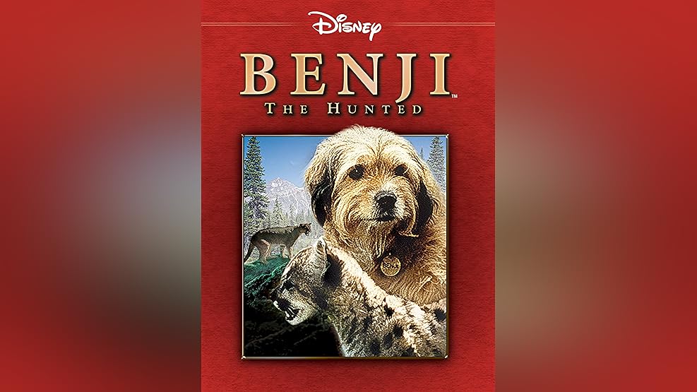 Watch Far From Home The Adventures Of Yellow Dog Prime Video