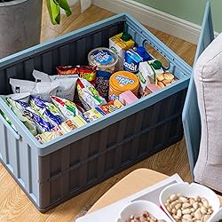 Citylife 64L Collapsible Storage Bins with Lids