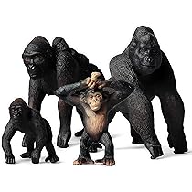 91NxsKn6dTL._AC_UL210_SR210,