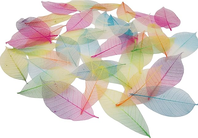 40 X Skeleton Leaves Arts Crafts Cardmaking Scrapbooking Embellishments Amazon Co Uk Kitchen Home