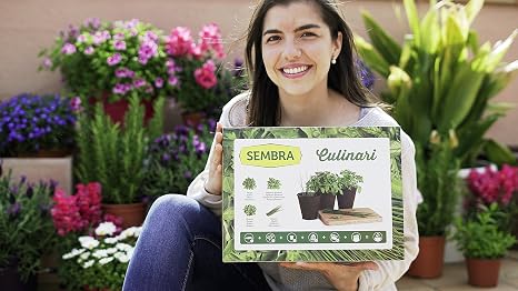 Sembra Big Kit Cultivo, 25.5x33.5x9 cm: Amazon.es: Jardín