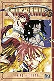 Fairy Tail, tome 47 (French Edition)